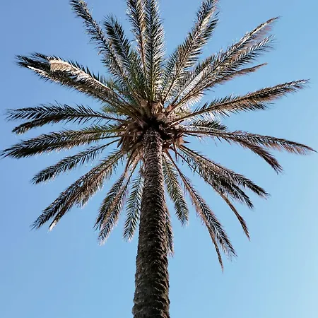 Casa Fronte Mare Tatil Evi Isola delle Femmine